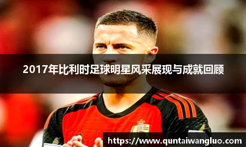 2017年比利时足球明星风采展现与成就回顾
